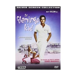 The Flamingo Kid [DVD] [dvd] [2015]